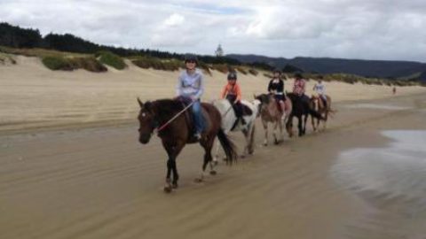 Ahipara Horse Treks