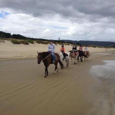 Ahipara Horse Treks