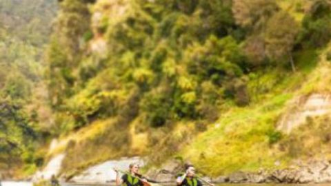 Unique Whanganui River Experience