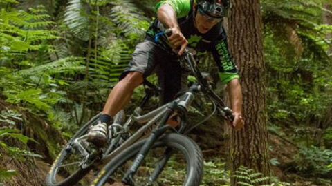 Mountain Bike Rotorua