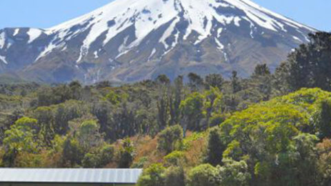 Ngāti Ruanui Stratford Mountain House