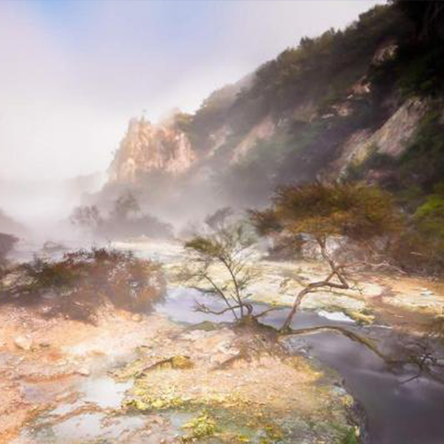 Waimangu Thermal Valley