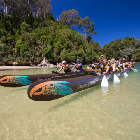 Waka Abel Tasman