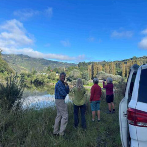 Whanganui Tours