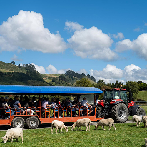 Agrodome