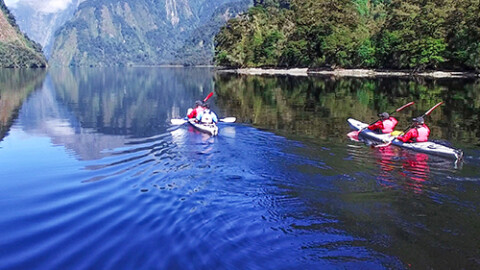 Doubtful Sound Kayak