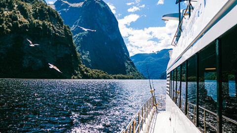 Southern Secret Doubtful Sound Overnight Cruise